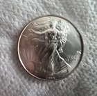 2010 Silver American Liberty Coin Brilliant Luster