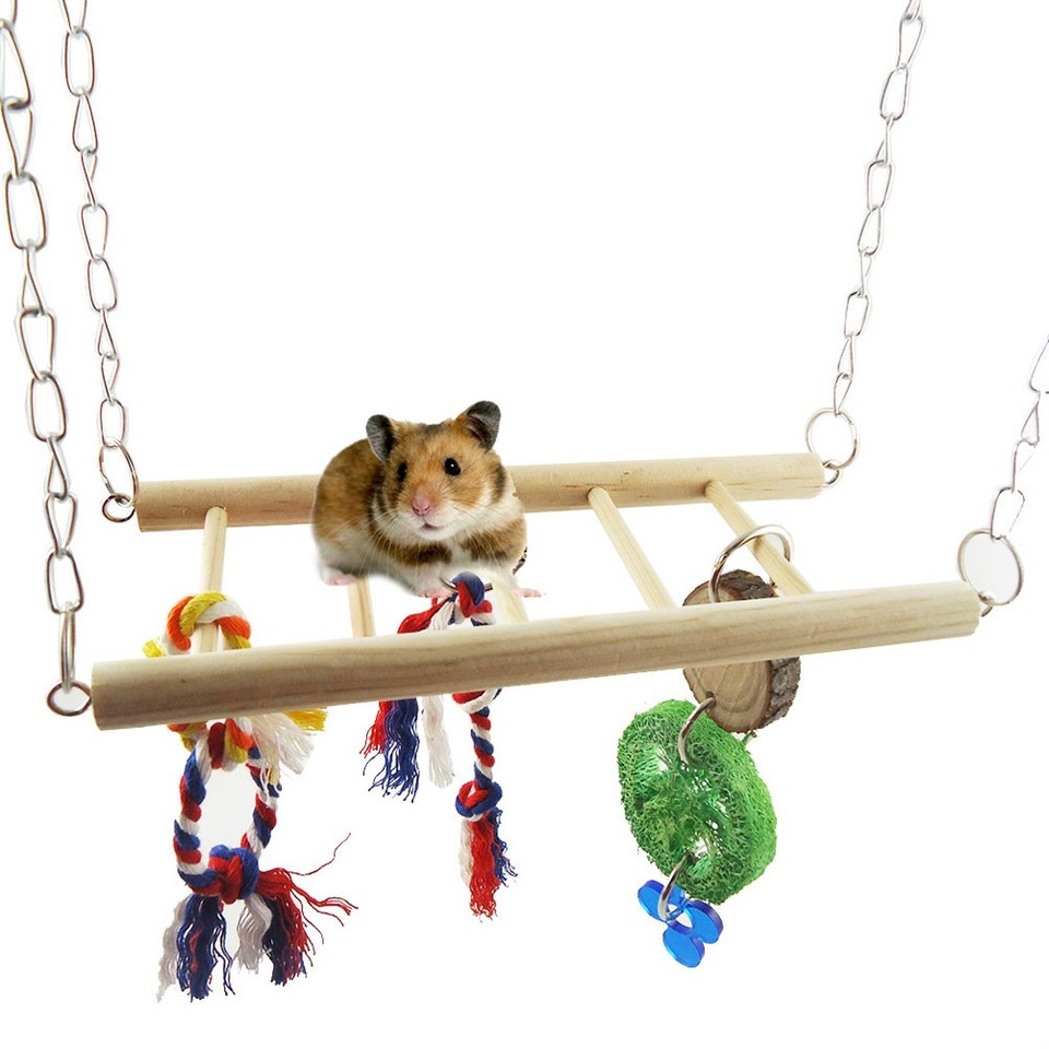 Hamster Climbing Ladder Small Animal Toys Activity Enrichment for Mice ...