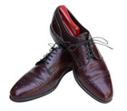 Allen Edmonds Sanford 5237 Burgundy Leather Cap Toe Oxford Dress Shoe 9.5C — photo 3