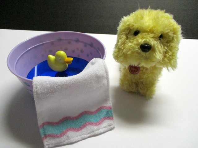 american dog grooming