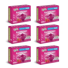 Simply Delish Raspberry Jel Pack of 6 Sugar Free Plant Based Healthy Dessert