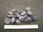 Foto 2 di 3