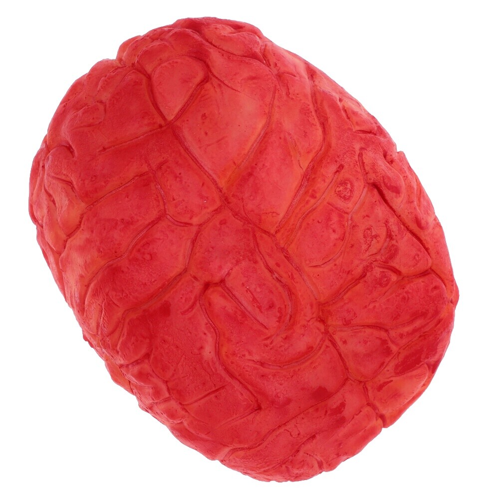 Fake Brain | eBay UK