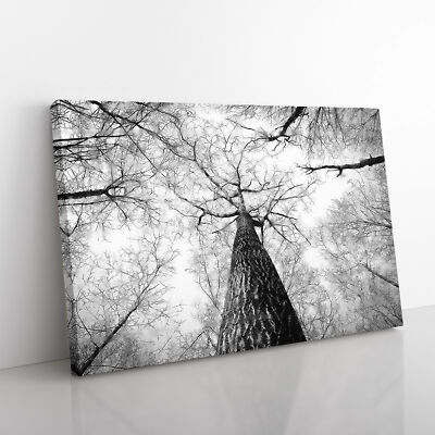 Unter dem Wald Leinwand Wandbild Kunstdruck gerahmtes Bild Deko Wohnzimmer Schlafzimmer
