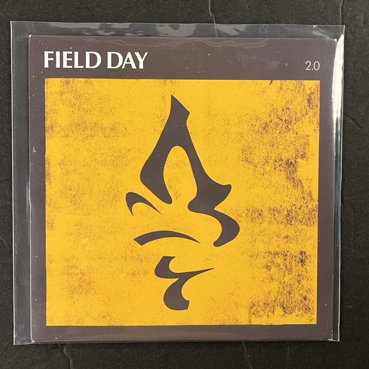DAG NASTY /field dayアナログレコード Field Day - Dag Nasty