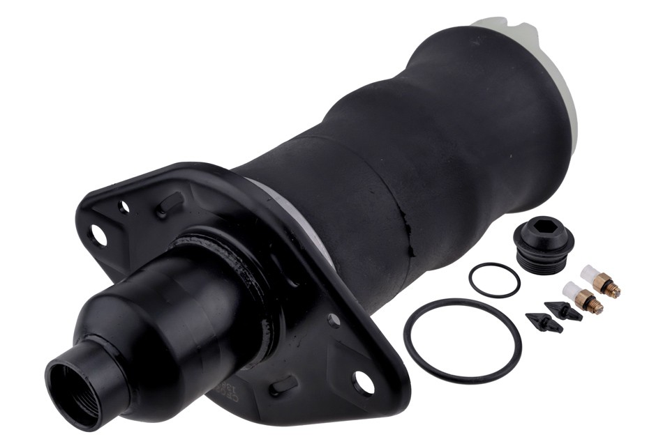 Right Rear NTY EZC-AU-235 Air Spring, suspension for AUDI - Image 9