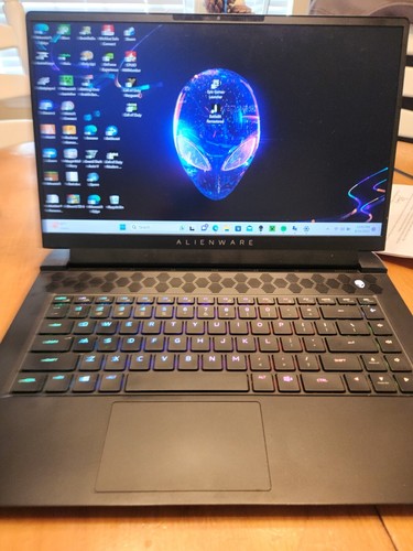 Alienware m15 Rysen Edition R5 Gaming Laptop | eBay