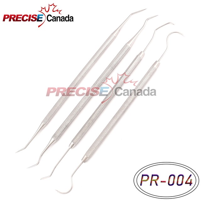 4 pcs ASSORTED STAINLESS STEEL DENTAL PICKS DOUBLE END, PR004 eBay