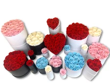 Real Preserved Roses That Last Forever - Gift for Her