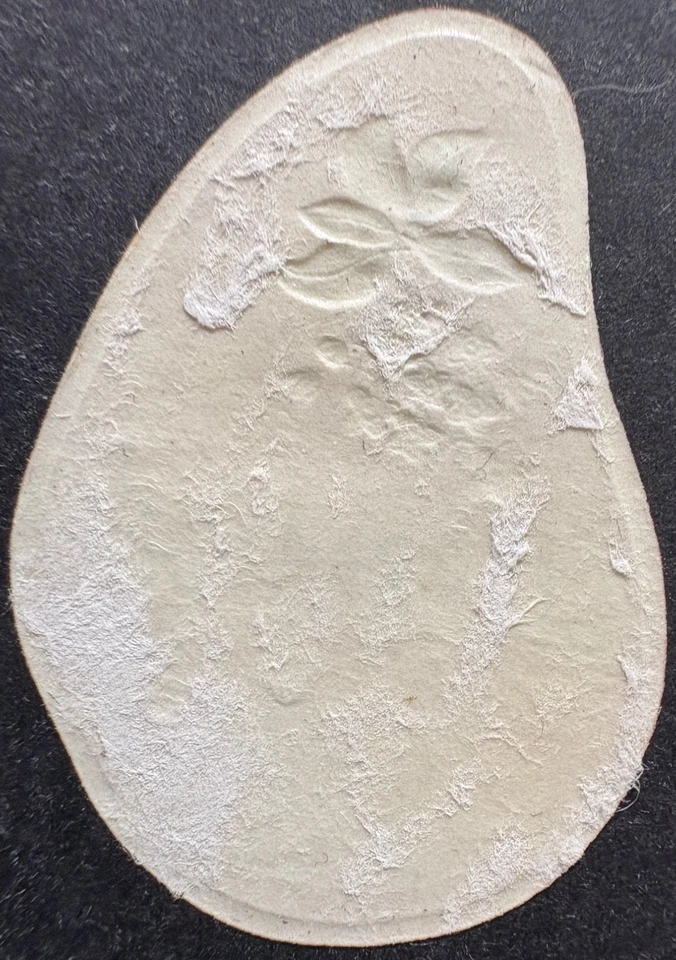 Sierra Leona 1965 SG381 5c planta de cola definitiva usada Foto 2 de 2