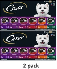 2 pack Cesar Classic Loaf In Sauce Wet Dog Food Variety Pack, 3.5 oz 36 Pack