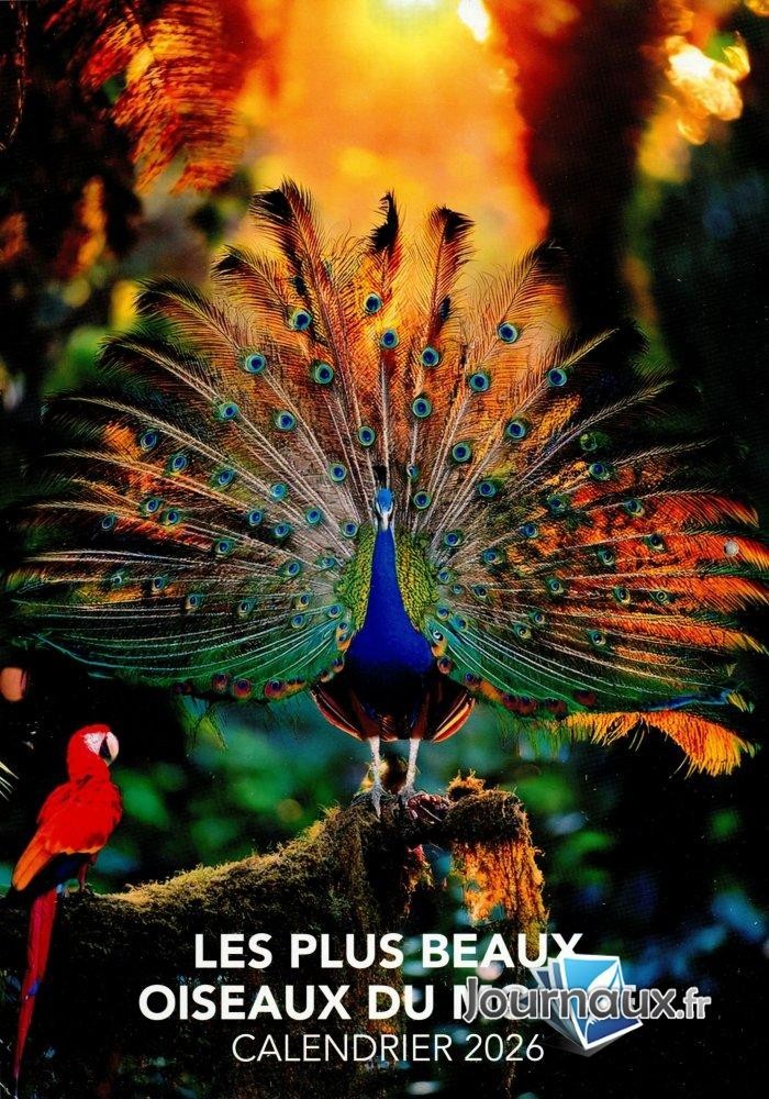 LES PLUS BEAUX OISEAUX  DU MONDE CALENDRIER 2026    23 12  2025