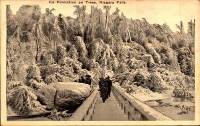 RPPC POSTCARD - ICE FORMATION ON TREES NIAGARA FALLS-BK40