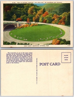 Loop Over Newfound Gap Highway Smoky Mountains Postcard