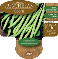 Climbing French Bean Plants - 'Cobra' 6 X Medium Plug Vegetable Plants