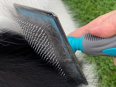 Flat Head Hard Pin Slicker Brush for Dogs Cats Rabbits Grooming Tool Masterclip