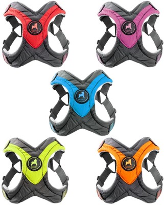 gooby trekking harness