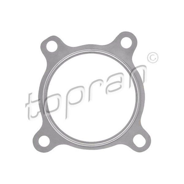 Topran 115 076 Dichtung Abgasrohr Auspuffdichtungen FüR Audi A4 Avant Seat Exeo-image