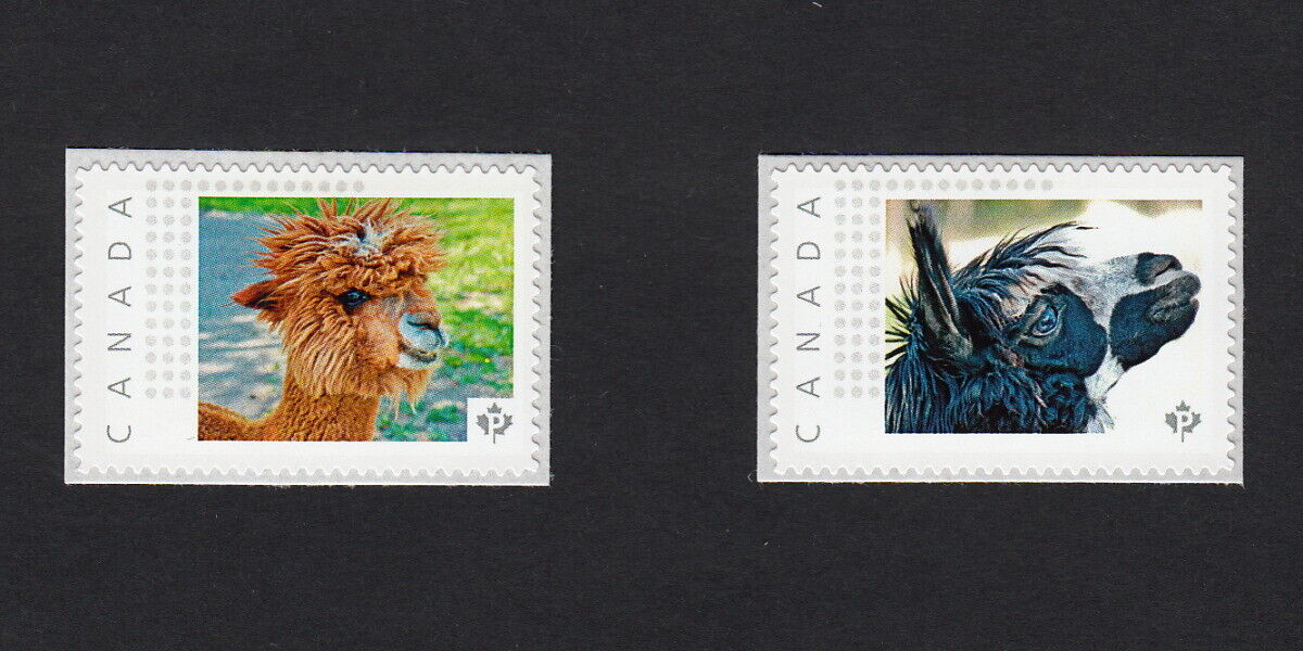 ALPACA  RED, BLACK = Picture Postage-TM stamps MNH Canada 2015 p15/01ap2