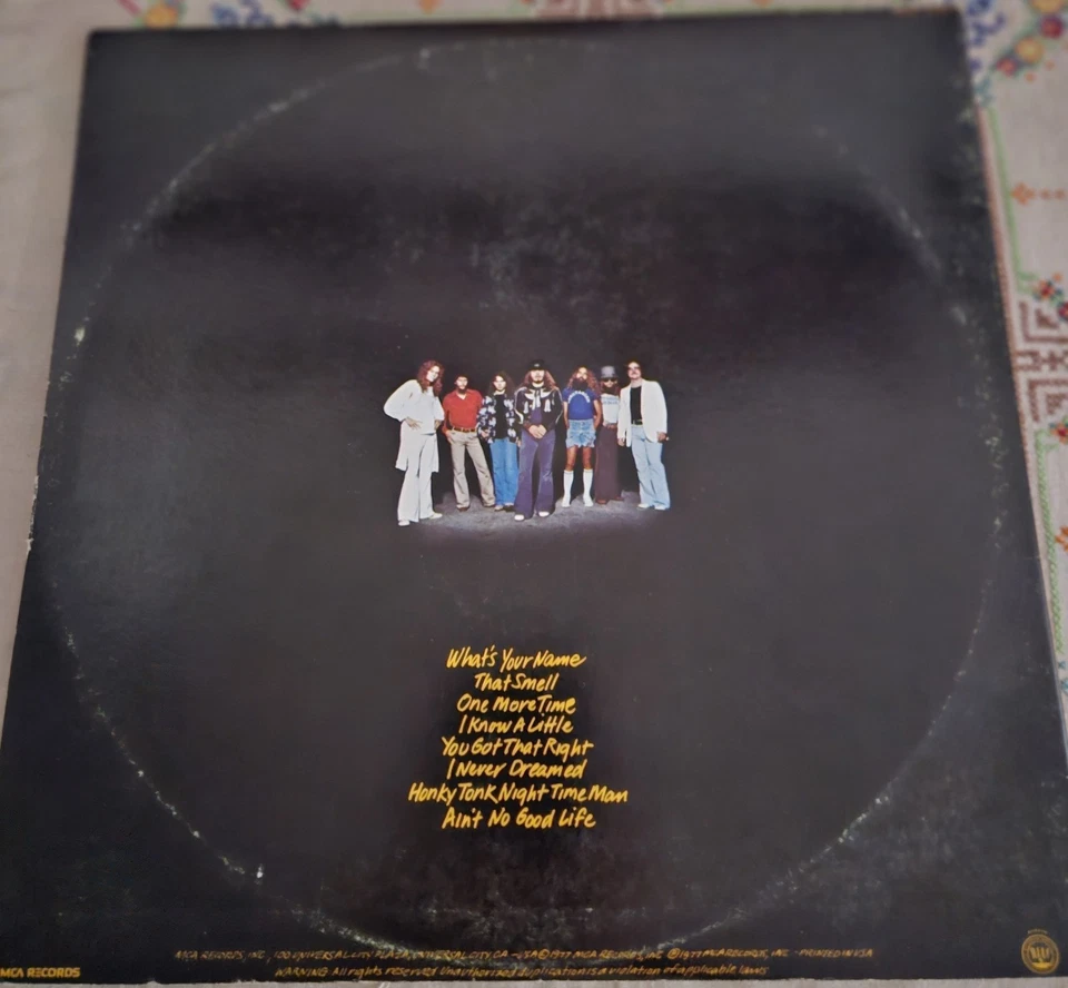 LYNYRD SKYNYRD - Street Survivors - Vinyl LP 1977 MCA-3029 Master Flames Banned - Image 2 of 4