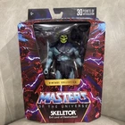 MOTU Masters of The Universe Masterverse Vintage Collection SKELETOR Figure NEW