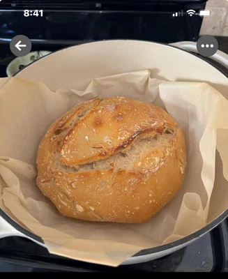 MOM'S HEIRLOOM SAN FRAN SOURDOUGH STARTER Purchased From Boudins 1951 Authentic San Francisco Sourdough Starter