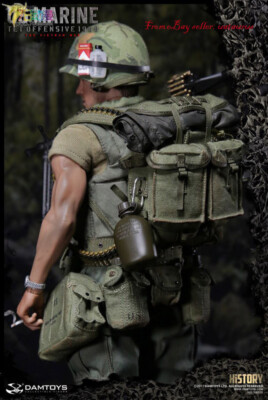 Damtoys 78038 History Series 1/6 U.S.Marine (Tet Offensive,1968