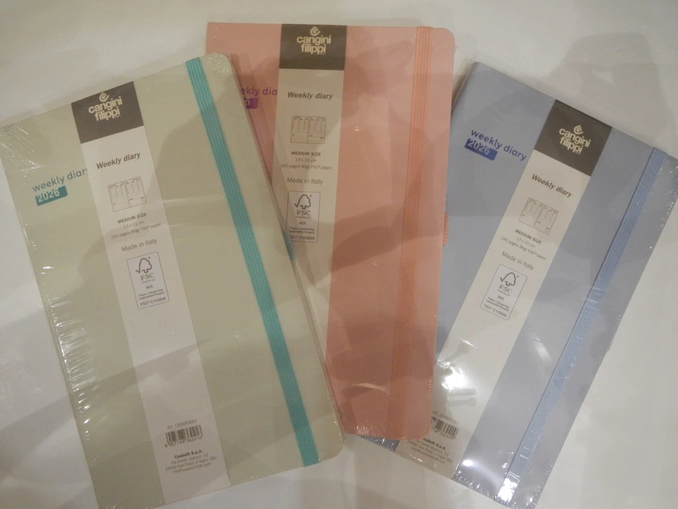 LETTS CANGINI&FILIPPI:AGENDA 2026 SETT.LE VERT.LE 13X21CM ELASTICO+P.PENNA VARI COLORI