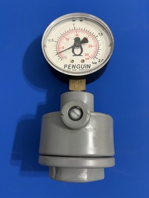 Penguin PGGA Gauge Guard, 1/2'' Process Connection, 1/4'' Gauge Connection, 30psi