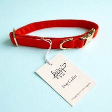 NEW The Foggy Dog Orange Dog Collar Small Gold Hardware Pet Fall Harvest NWT