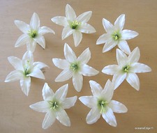 8 pc Lot 3.5" Cream White Lily Silk Flower Hair Clip,Updo,Pin Up,Bridal,Prom