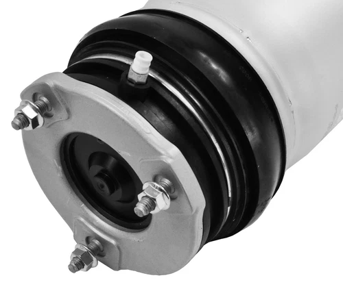 Luftfederbein Stoßdämpfer Hinten für Tesla Model X 5YJS 100D AWD Bj ab 2016-22 - Picture 4 of 7