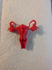 3D Printed Uterus Model | Female Human Anatom...