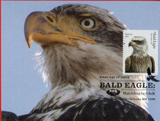 Pájaros, 5 tarjetas máximas diferentes de águila calva (cubiertas de primer día de postal)