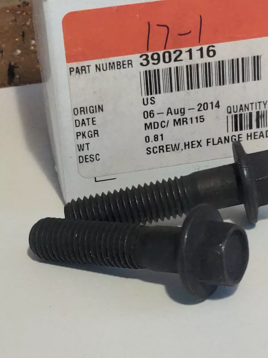 Cummins Flange Head Cap Screw 3902116, Qty 2 | eBay