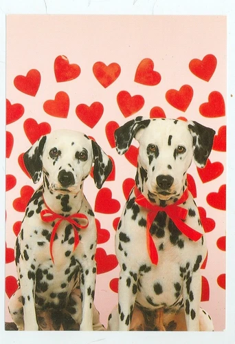 DOG-TWO DALMATIANS SURROUNDED BY HEARTS WITH RED RIBBONS-1993-(DOG-29*)