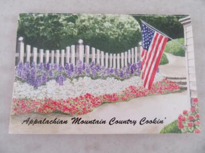 VINTAGE APPALACHIAN MOUNTAIN COUNTRY COOKIN' SMALL COOKBOOK