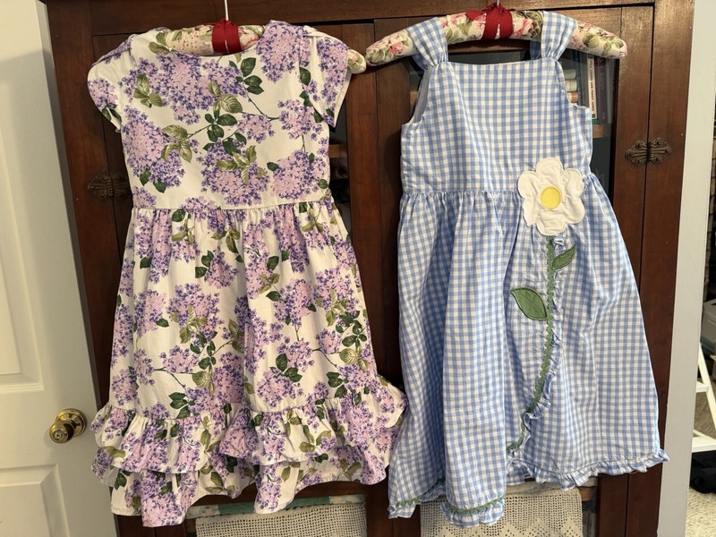 2 Girl's Gymboree Dresses Sz 7 Blue & White Gingham & Lilac Print