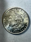 1884 O   Morgan Dollar    Nice uncirculated  Toned Beauty