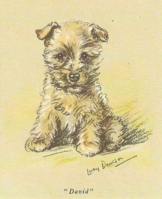 Cairn Terrier Puppy - CUSTOM MATTED - Dog Art Print - Lucy Dawson