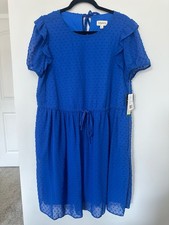 Blue Swiss Dot Flutter Sleeve Dress with Tie Neck Detail