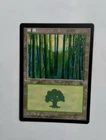 1 x MTG S-Chinese Portal Basid Land (Forest 214s)---N/M