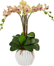 Elegant White Phalaenopsis Orchid Silk Arrangement in Chic Vase