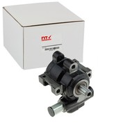 NTY Servopumpe Hydraulisch Passend FüR Dodge RAM | SPW-CH-030