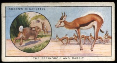 Tabakkarte, Ogdens, Farbe in der Natur, 1932, Springbock & Hase, #26