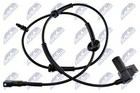 NTY HCA-FR-025