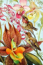 Wooden Jigsaw Puzzles For Adults - Birds  Orchids 47 Pieces Mini Wooden Puzzle