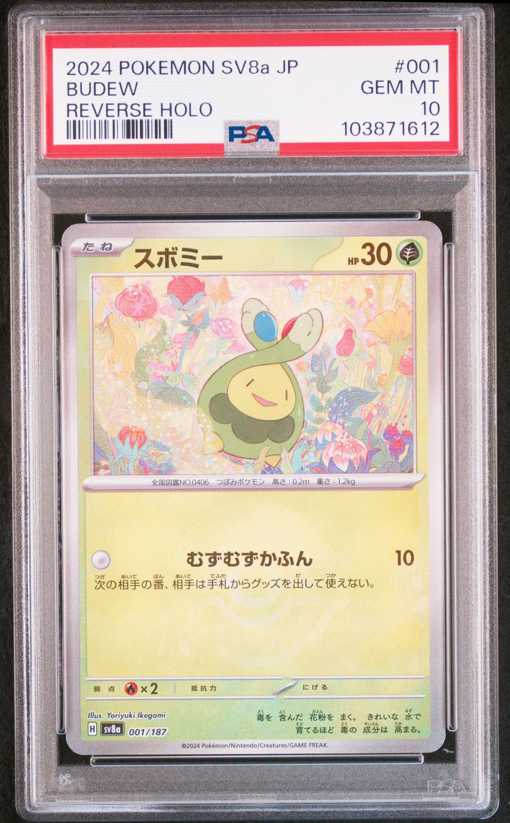 2024 POKEMON JPN SV8A-TERASTAL FEST EX REVERSE HOLO #001 BUDEW PSA 10