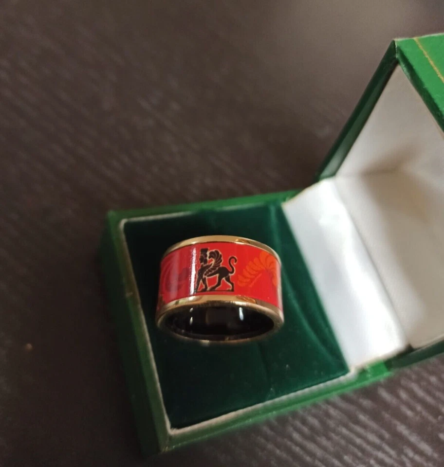 Bandring Ring im FW Stil (Hommage à Magic Sphinx ) Ø18,2 mm