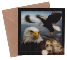 4-D Bald Eagle Note Cards, Set of 6, Lenticular 3D, Download app to play video